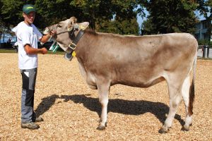 3 miss rind bs sterling sabrina fredi diethelm tuggen